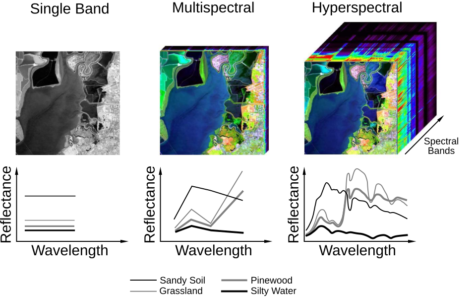 Diagram comparing single-band, multispectral, and hyperspectral imaging. Single-band produces a grayscale image with flat reflectance curves. Multispectral captures a few broad wavelength bands. Hyperspectral captures dozens of narrow bands, yielding distinct spectral signatures for sandy soil, grassland, pinewood, and silty water.