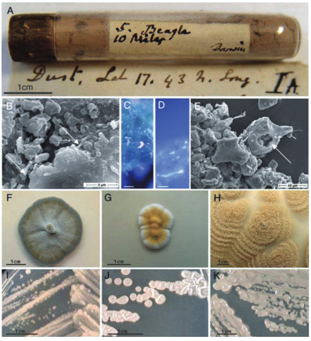 A glass tube labeled in Darwin's handwriting holding centuries-old dust, with electron-microscope and culture-plate panels showing microbes recovered from the sample.