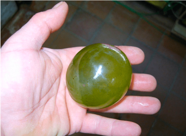 A person holding a large, smooth, green stone in their hand.