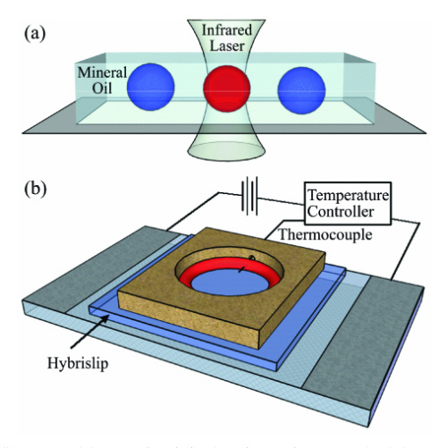 Schematic representation of an infrared laser setup in mineral oil with two different colored spheres.